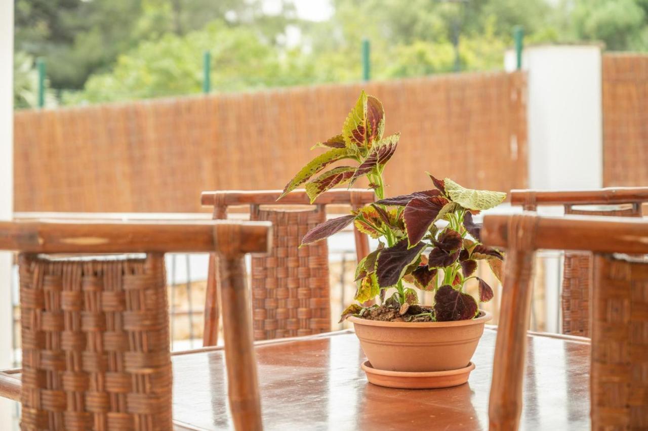 Apartaments Vaixell Santanyi Ngoại thất bức ảnh